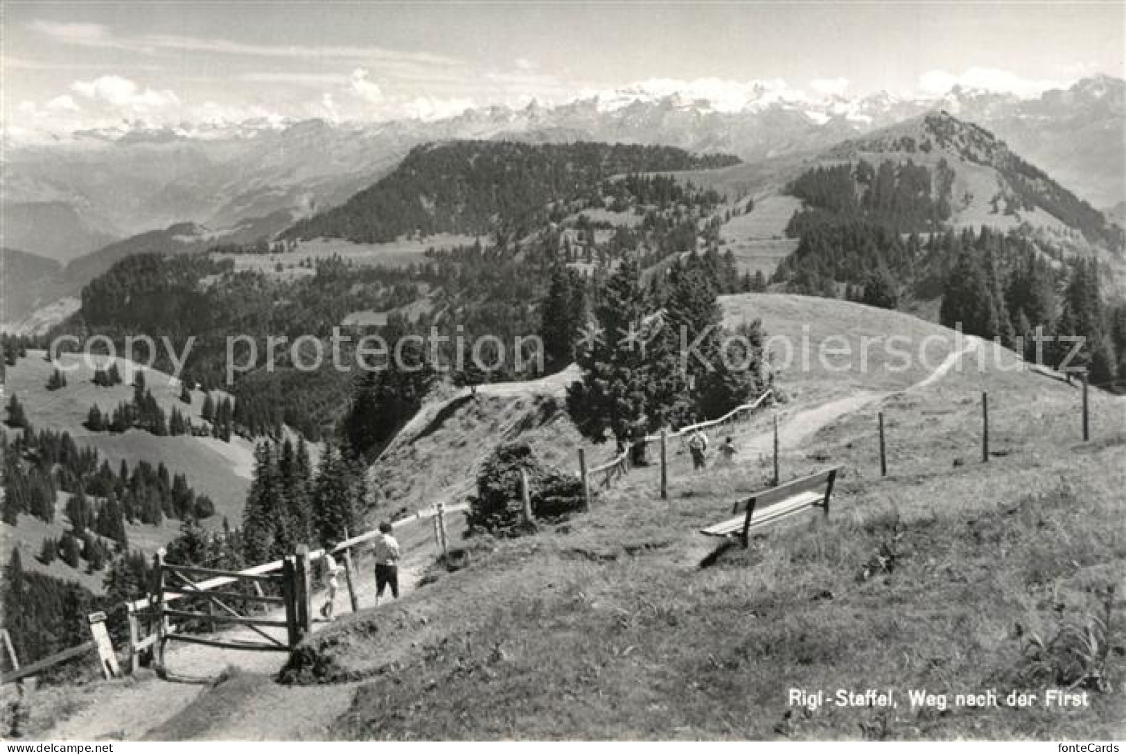 13301781 Rigi Staffel Wanderweg Nach Der First Alpenpanorama Rigi Staffel - Sonstige & Ohne Zuordnung