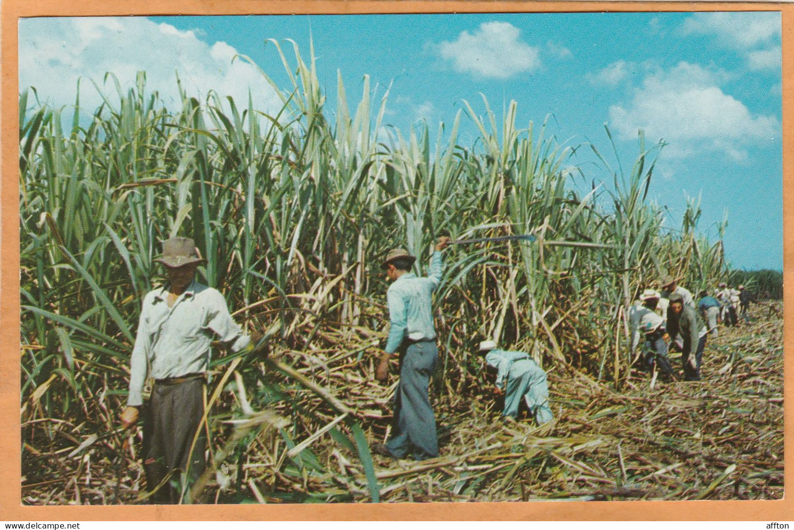 Puerto Rico Old Postcard - Puerto Rico