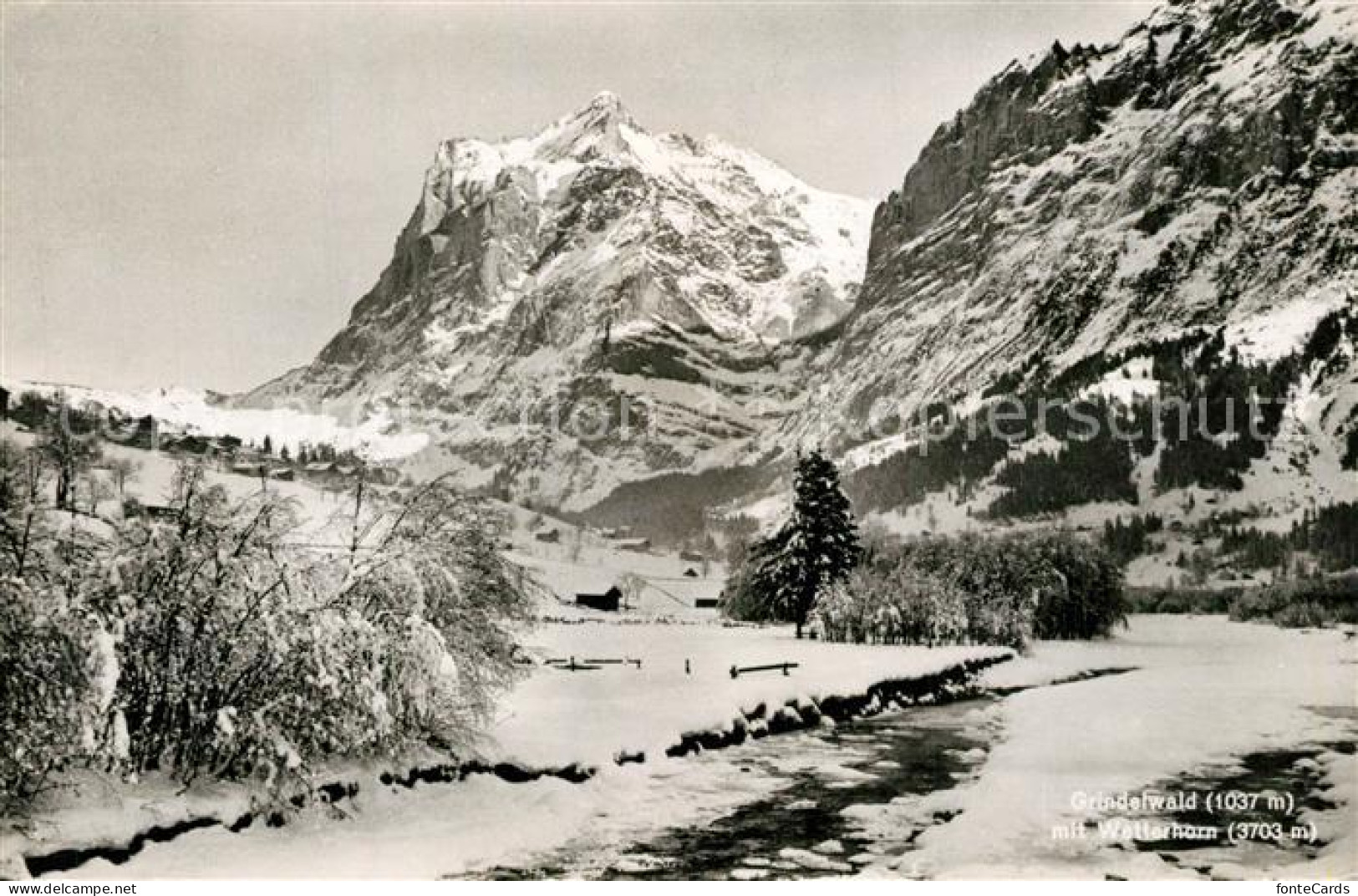 13301584 Grindelwald Winterpanorama Mit Wetterhorn Berner Alpen Grindelwald - Other & Unclassified