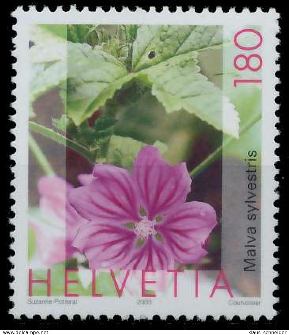 SCHWEIZ 2003 Nr 1825C Postfrisch X723A3A - Unused Stamps