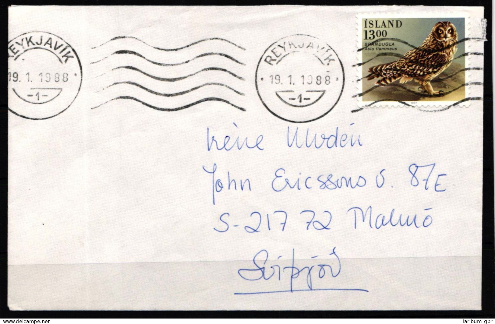 Island 668 Gestempelt Auf Brief, Eulen #KJ224 - Otros & Sin Clasificación