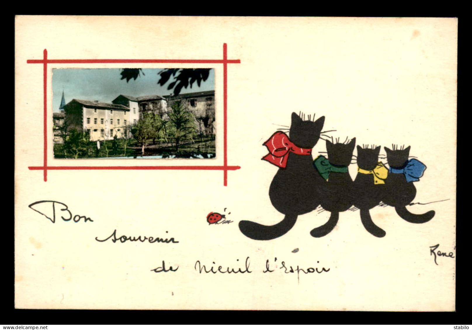 86 - NIEUIL L'ESPOIR - SOUVENIR - VUE ET CHATS NOIRS - CARTE SIGNEE RENE - Autres & Non Classés