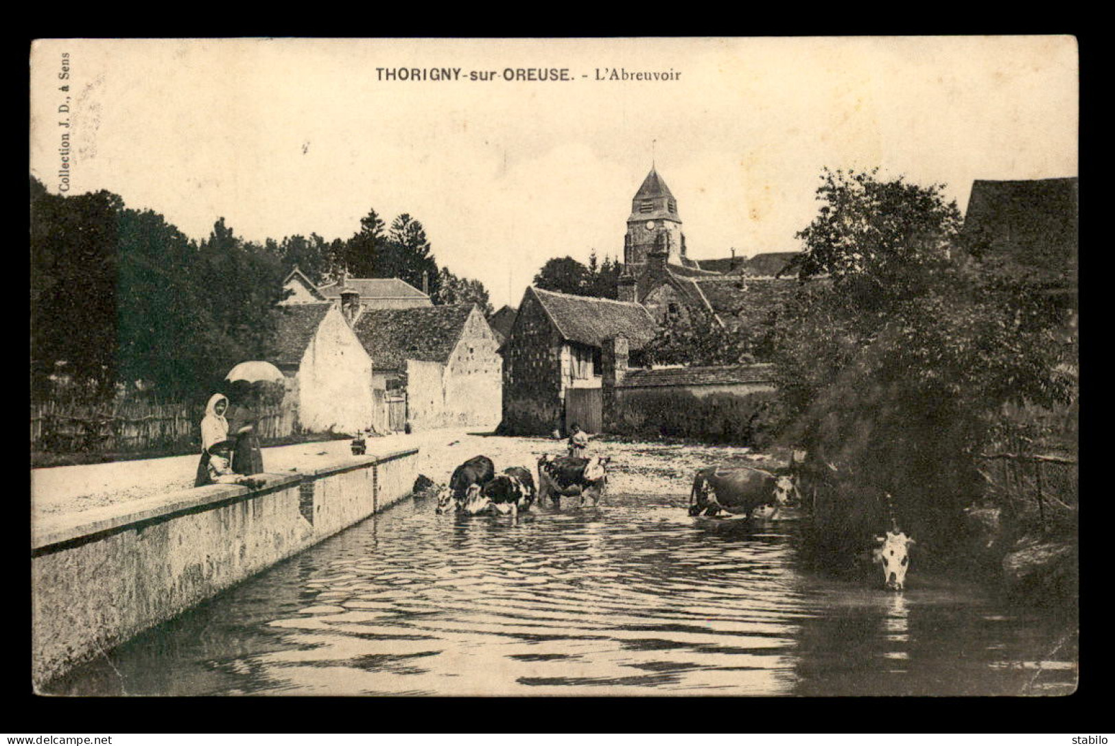 89 - THORIGNY-SUR-OREUSE - L'ABREUVOIR - VACHES - Autres & Non Classés