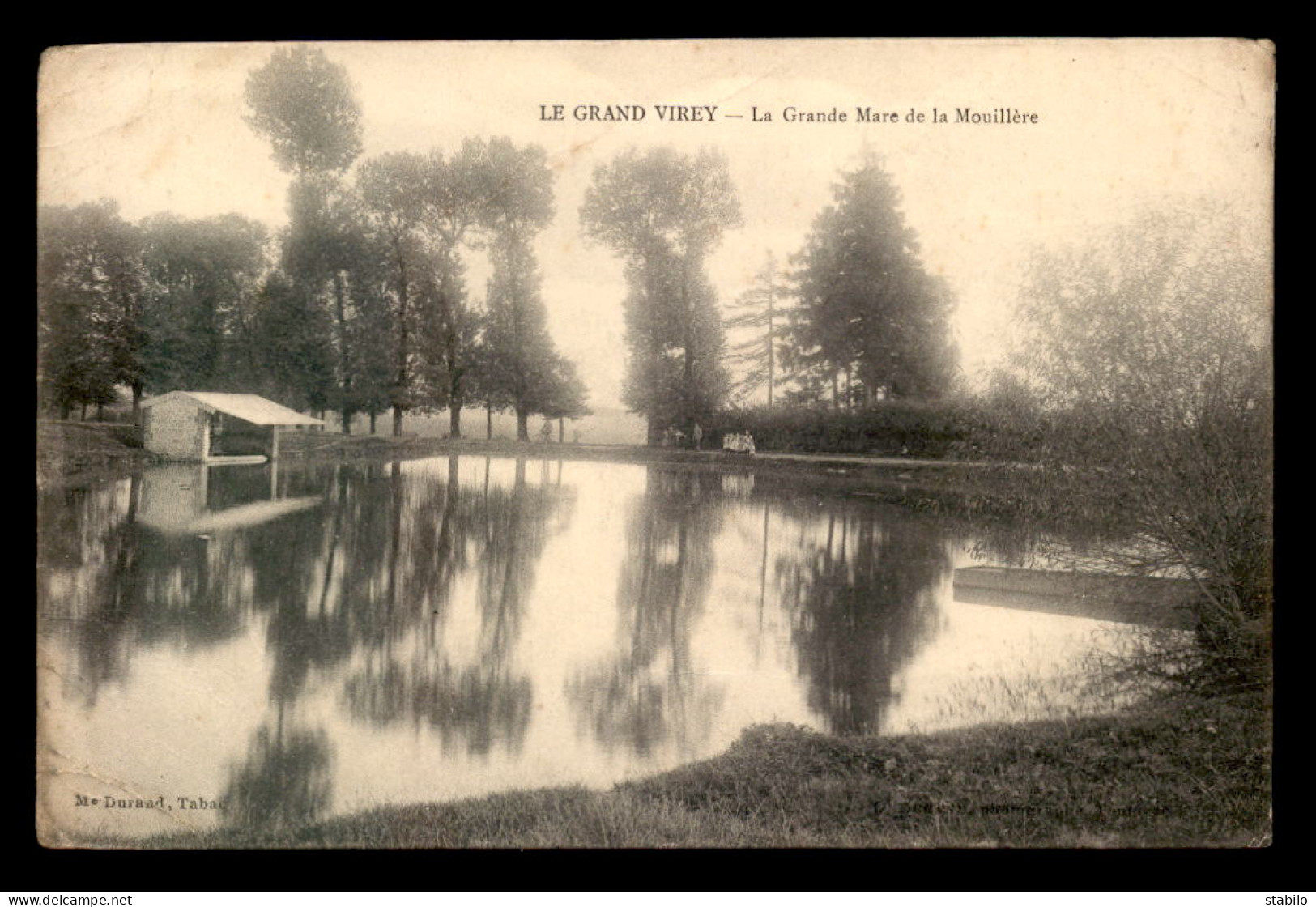 89 - LE GRAND VIREY - LA GRANDE MARE DE LA MOUILLERE - Autres & Non Classés