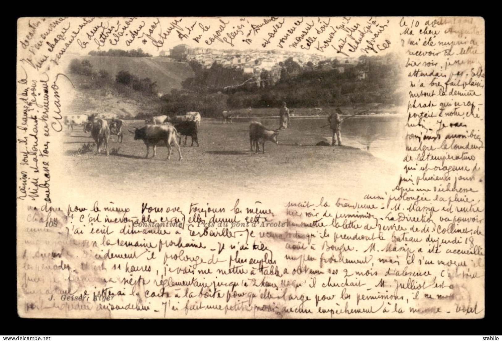 ALGERIE - CONSTANTINE - PRIS DU PONT D'ARCOLE - VACHES - EDITEUR GEISER - Konstantinopel