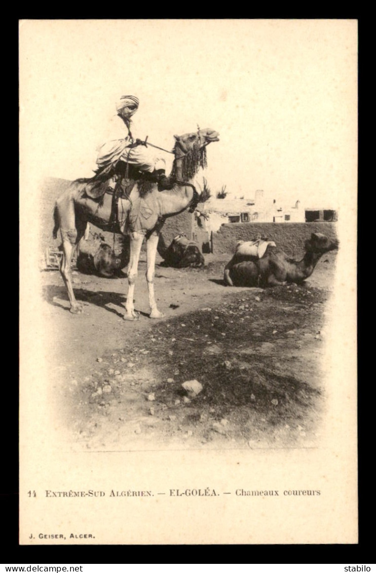 ALGERIE - SAHARA - EL-GOLEA - CHAMEAUX COUREURS - EDITEUR GEISER - Autres & Non Classés