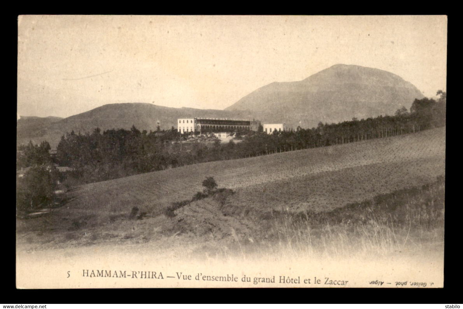 ALGERIE - HAMMAM-R'HIRA - VUE D'ENSEMBLE DU GRAND HOTEL ET LE ZACCAR - EDITEUR GEISER  - Other & Unclassified