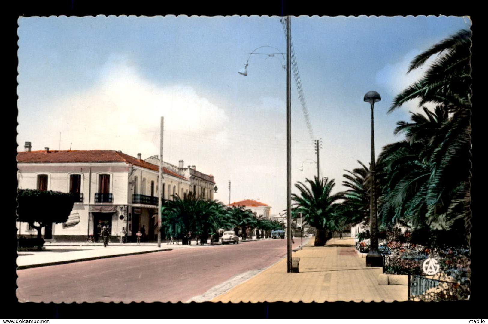 ALGERIE - LOURMEL - AVENUE PRINCIPALE - Sonstige & Ohne Zuordnung