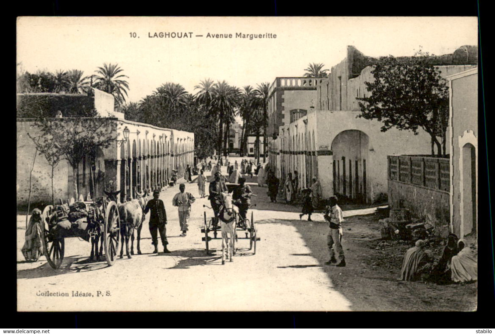 ALGERIE - SAHARA - LAGHOUAT - AVENUE MARGUERITTE - Laghouat