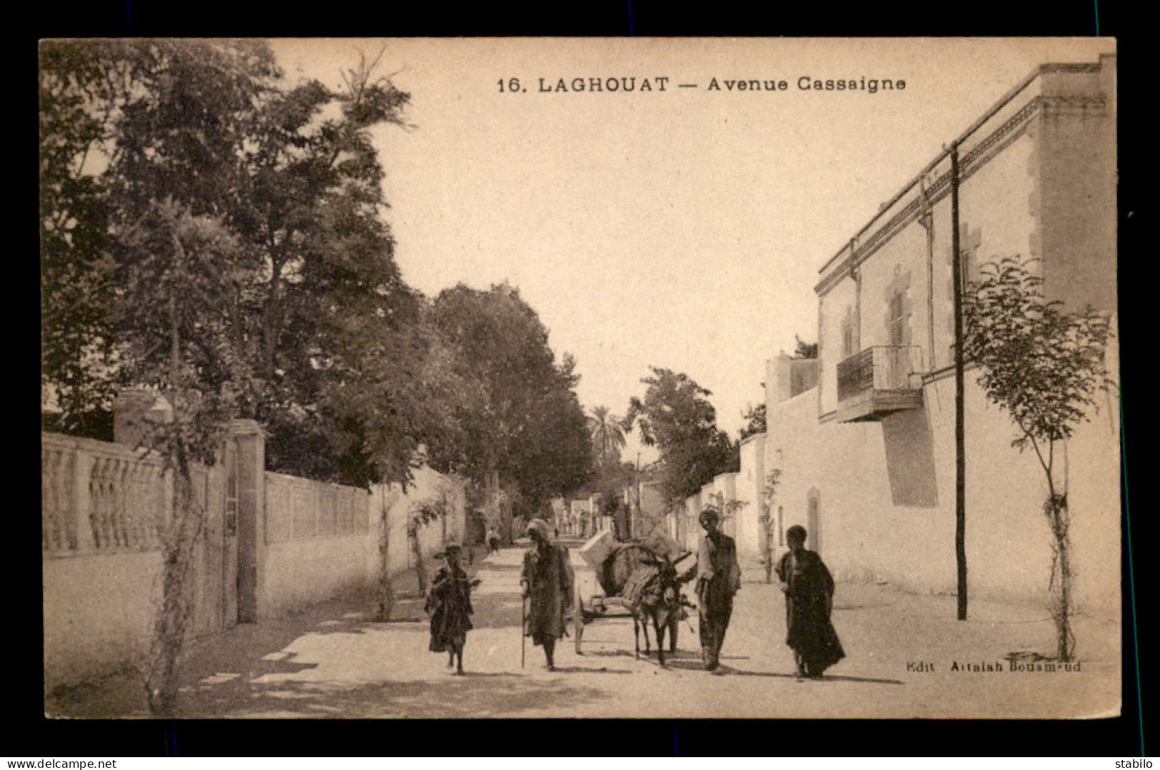 ALGERIE - SAHARA - LAGHOUAT - AVENUE CASSAIGNE - Laghouat