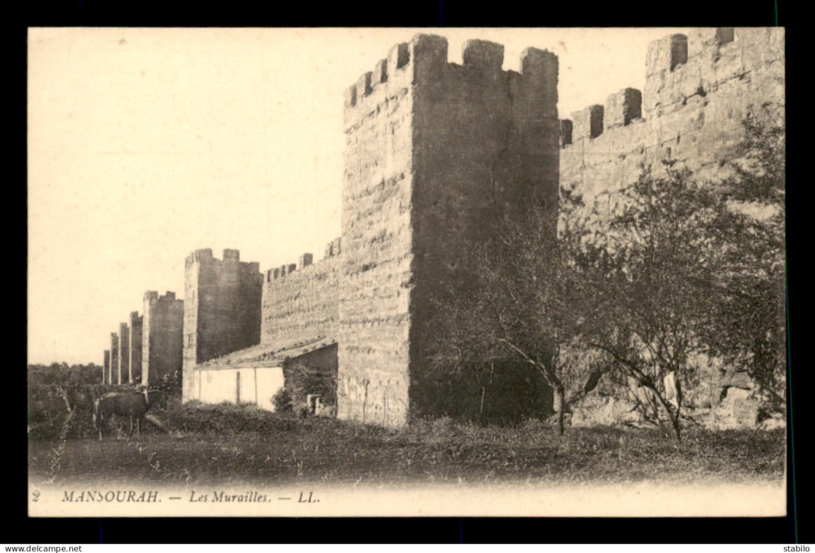 ALGERIE - MANSOURAH - LES MURAILLES - Autres & Non Classés