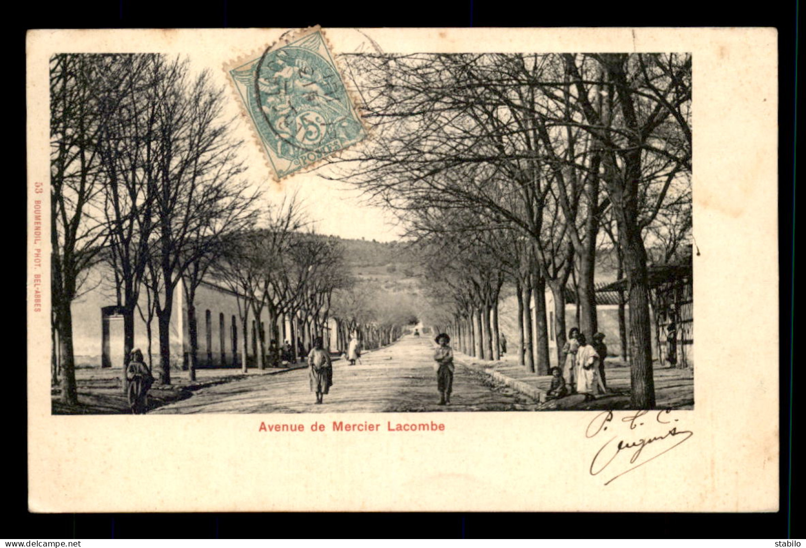 ALGERIE - MERCIER LACOMBE - L'AVENUE - Andere & Zonder Classificatie