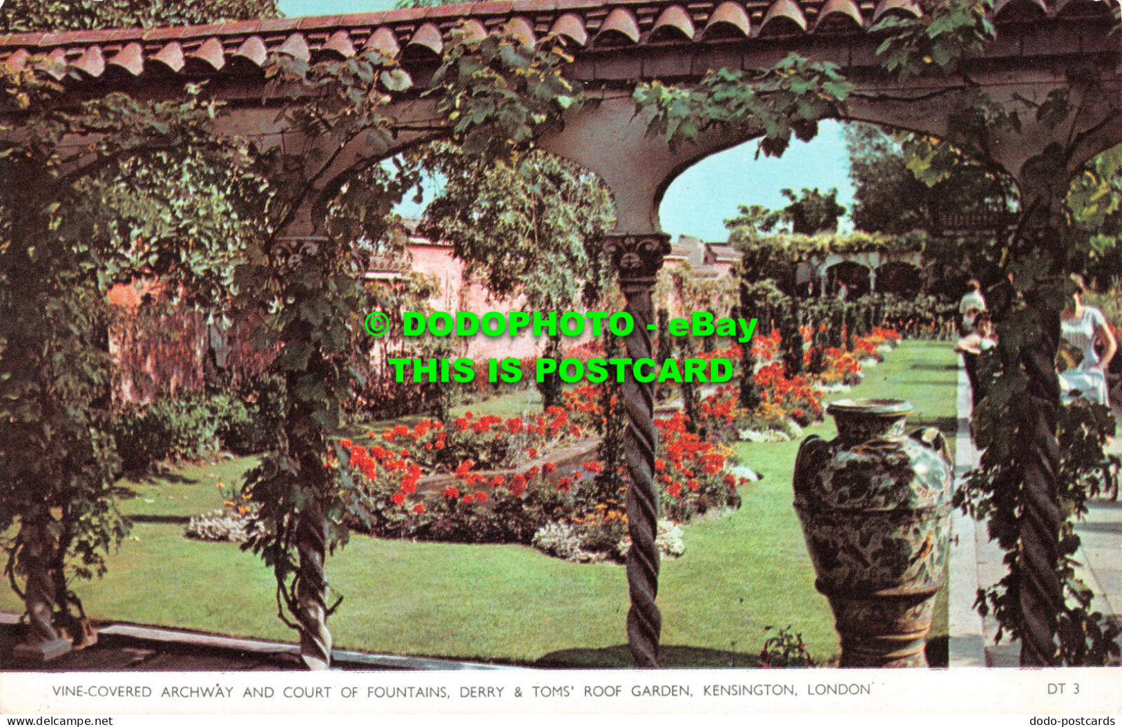 R522230 London. Kensington. Derry And Tom Roof Garden. Vine Covered Archway And - Autres & Non Classés