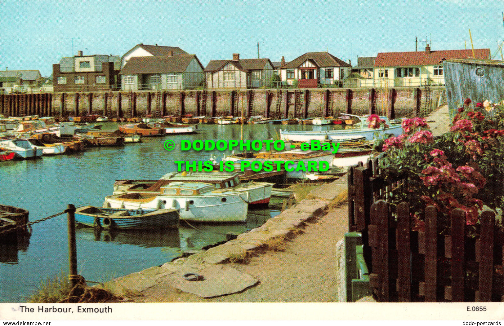 R522262 Exmouth. The Harbour. E. T. W. Dennis. Photocolour - Monde