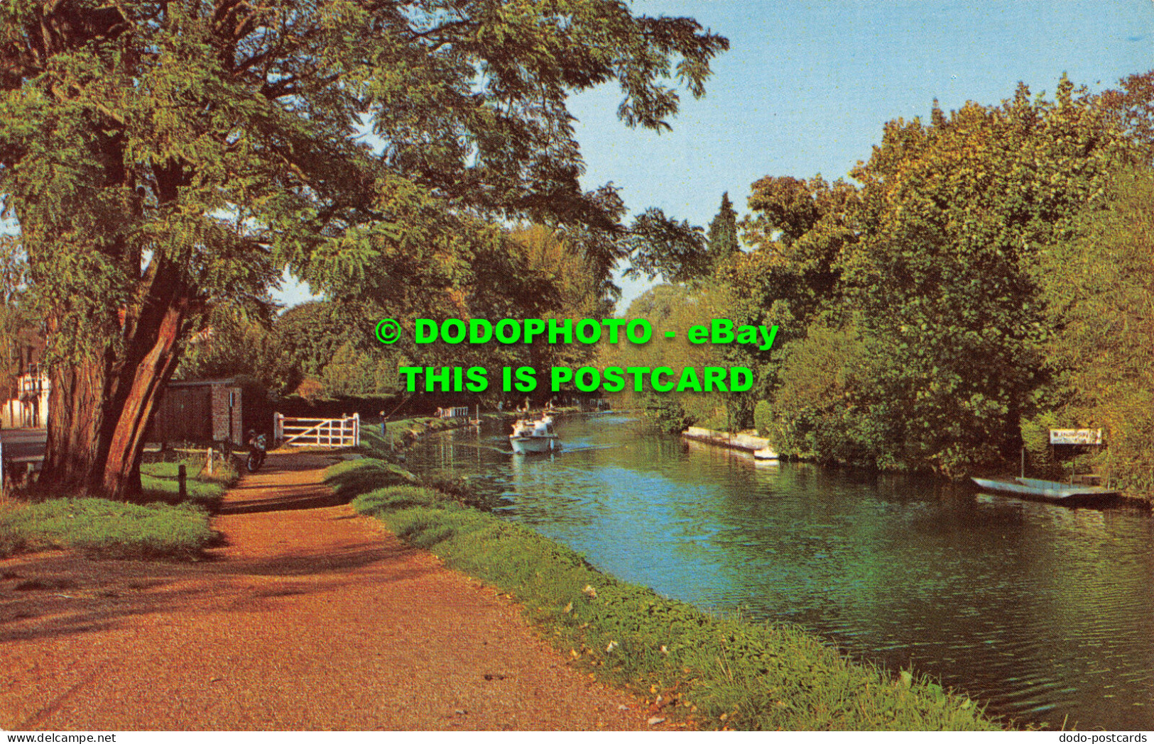 R522687 Maidenhead. The Thames. Postcard - Monde