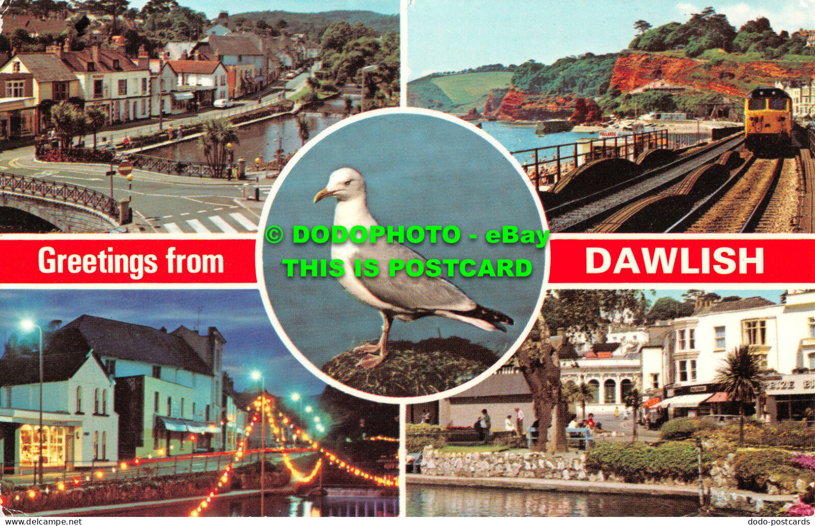 R522472 Greetings From Dawlish. The Gardens Illuminations. The Seafront. E. T. W - Monde