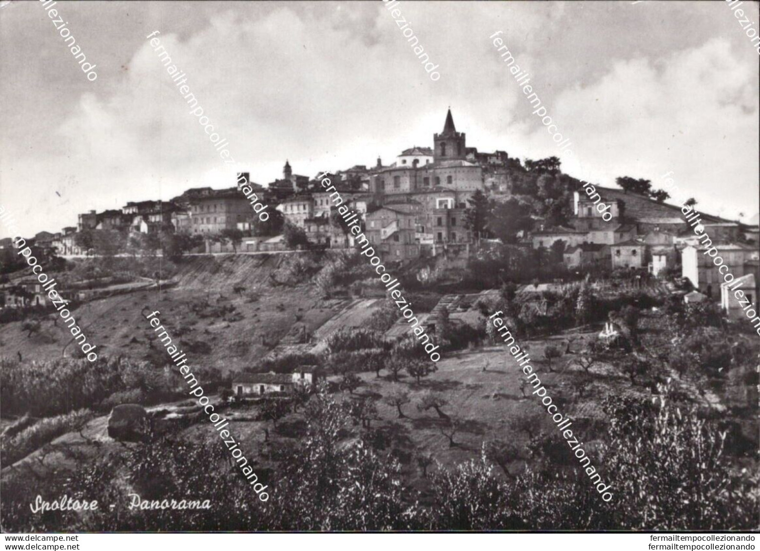 Aq614  Cartolina Spoltore Panorama Provincia Di Pecara Abruzzo - Pescara