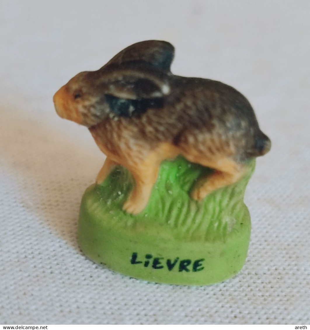 Fève  - Lièvre Chasse à L'arc - Sports