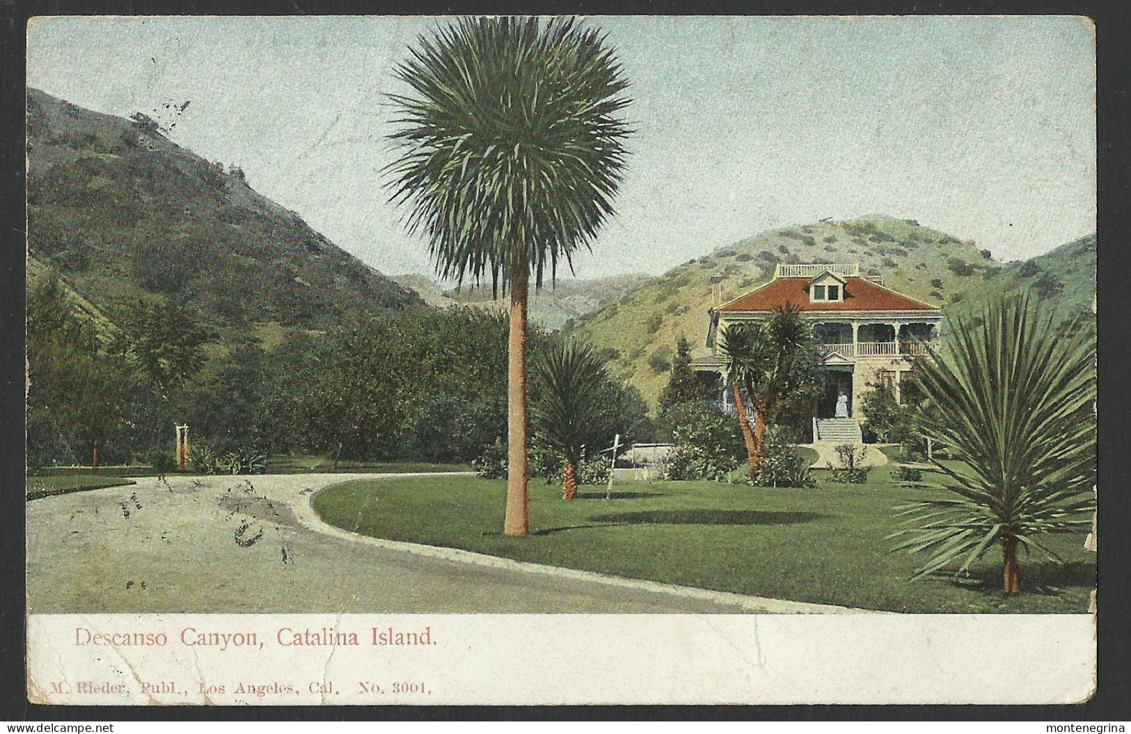 UNITED STATES - Descanso Canyon, Catalina Island - 1905 Old Postcard (see Sales Conditions)10202 - Other & Unclassified