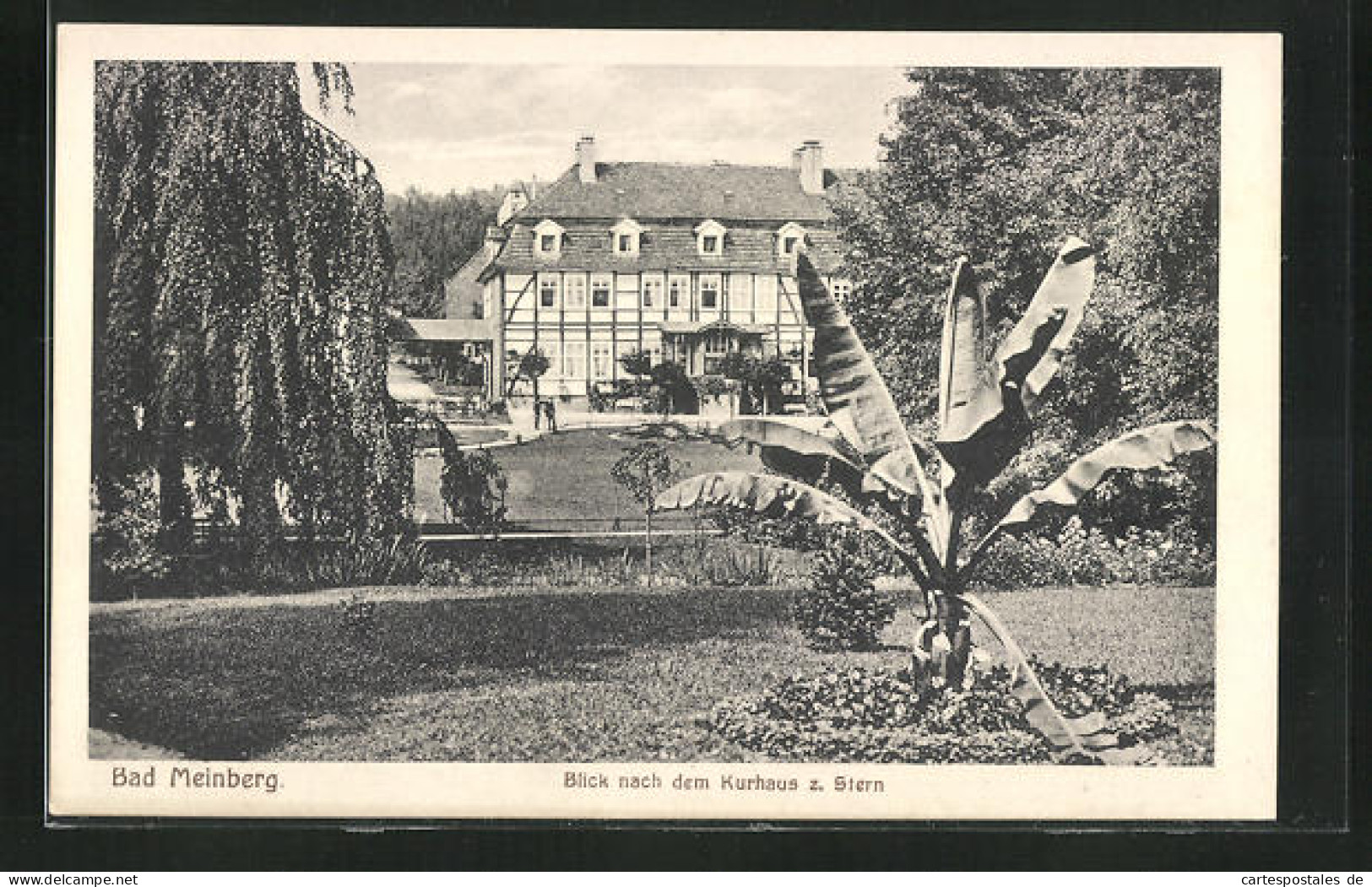 AK Bad Meinberg, Blick Nach Dem Hotel Kurhaus Zum Stern  - Bad Meinberg