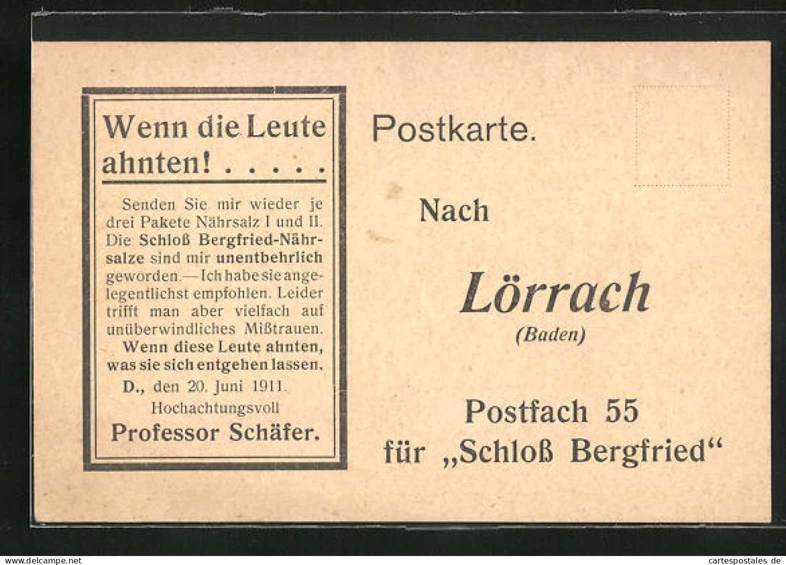 AK Lörrach / Baden, Mitteilungskarte Von Professor Schäfer  - Lörrach