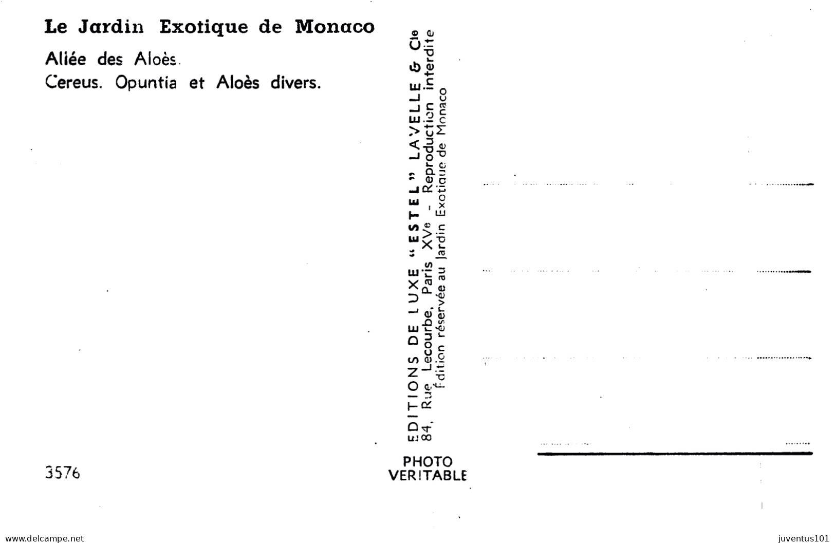 CPSM Jardin Exotique De Monaco       L2872 - Jardín Exótico