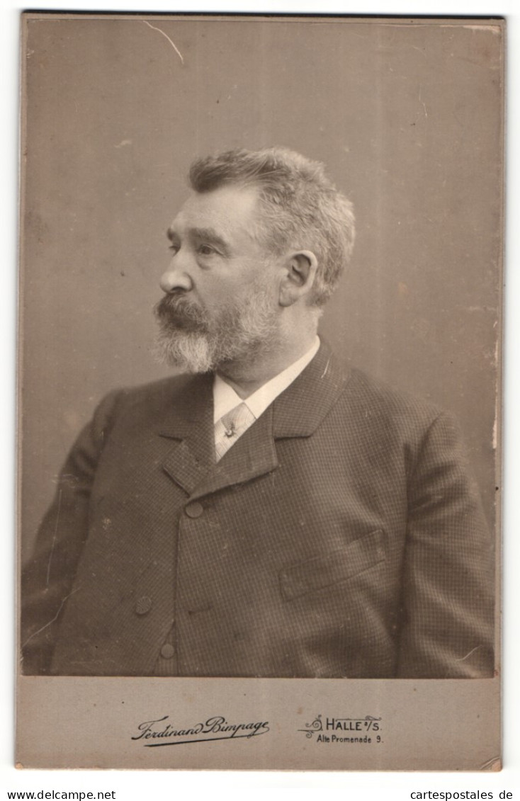 Fotografie Ferdinand Bimpage, Halle A / S., Portrait Stattlicher Herr Im Anzug Mit Krawatte Und Bart  - Personas Anónimos