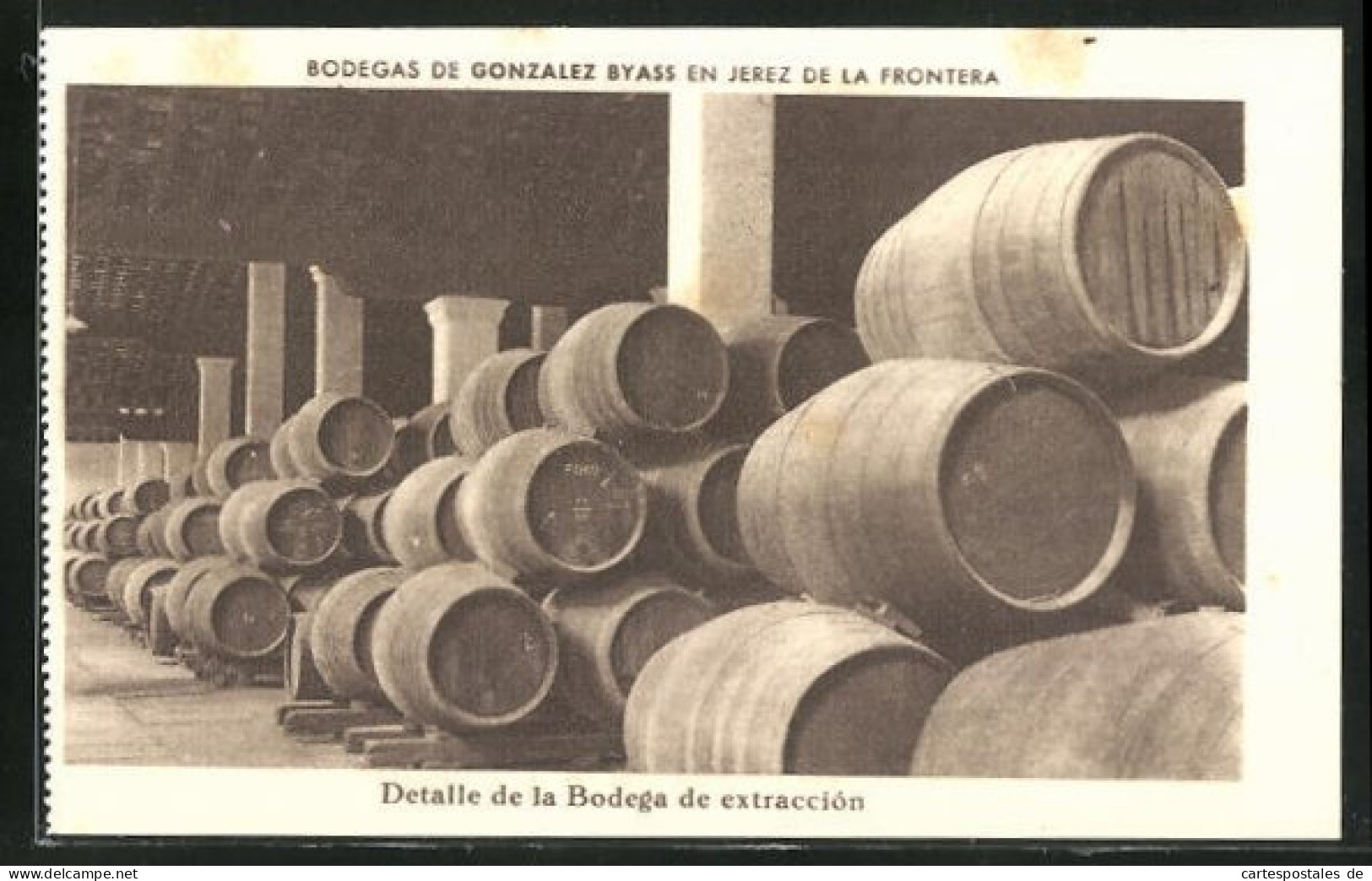 AK Jerez De La Frontera, Bodegas De Gonzales Byass, Detalle De La Bodega De Extracción  - Viñedos