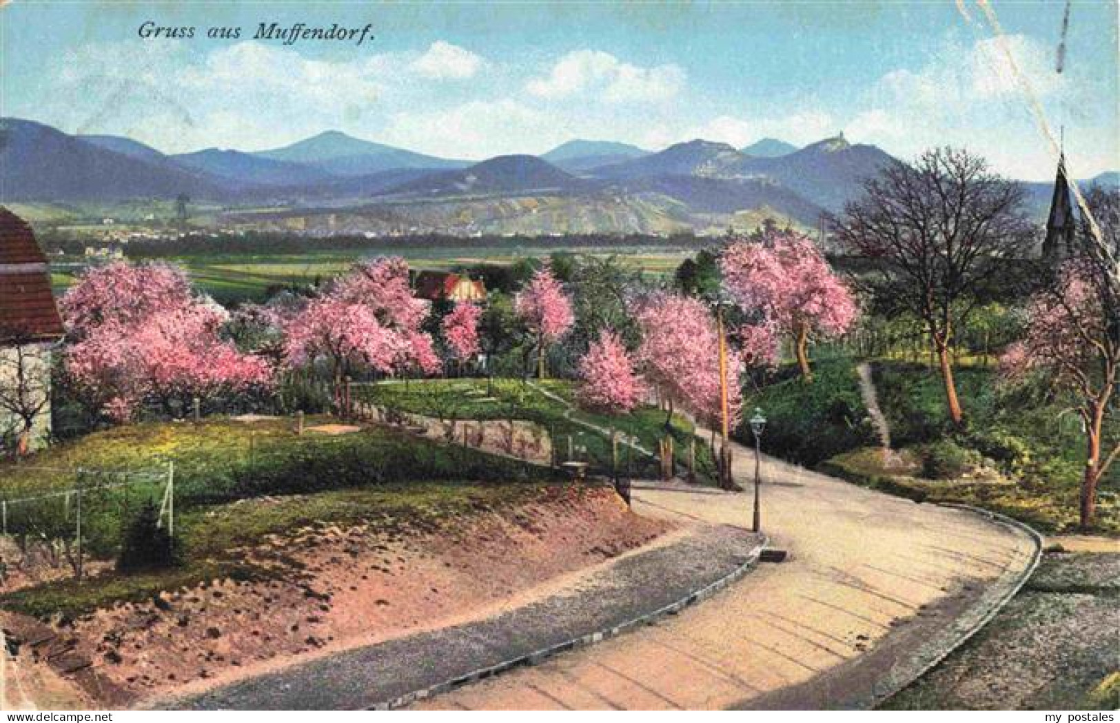 73973168 Muffendorf_Bonn_NRW Panorama Pfirsichbluete - Bonn