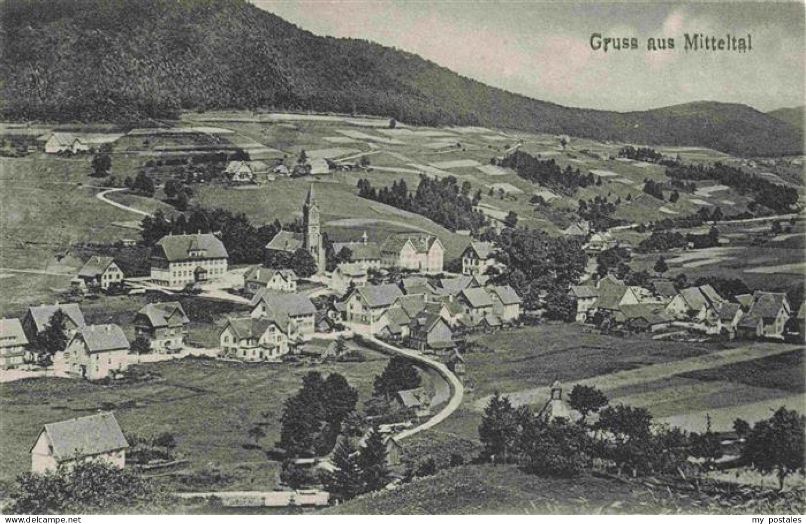 73973010 Mitteltal_Schwarzwald Panorama - Baiersbronn