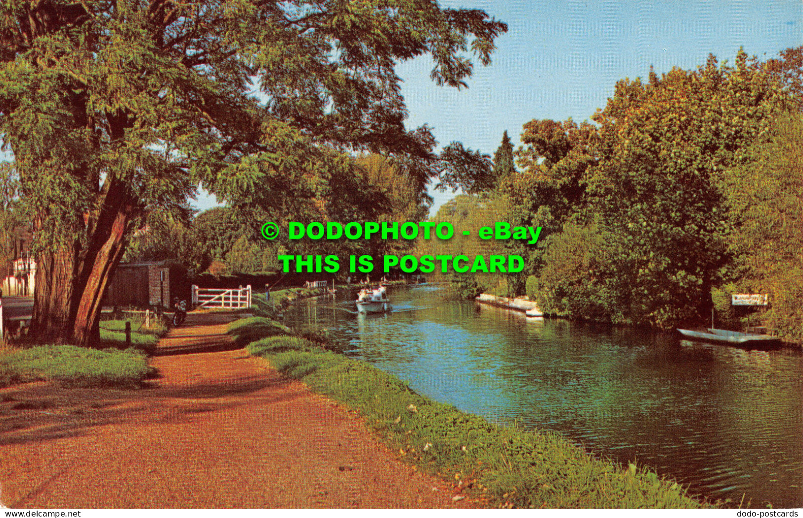 R523446 Maidenhead. The Thames. Postcard - Mondo