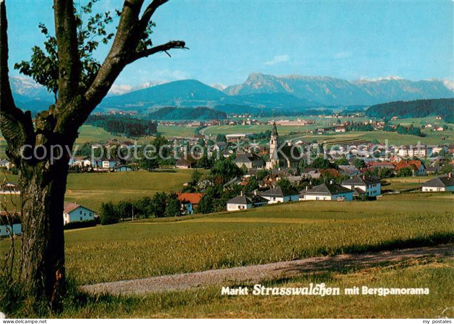 73861834 Strasswalchen Mit Bergpanorama Strasswalchen - Sonstige & Ohne Zuordnung