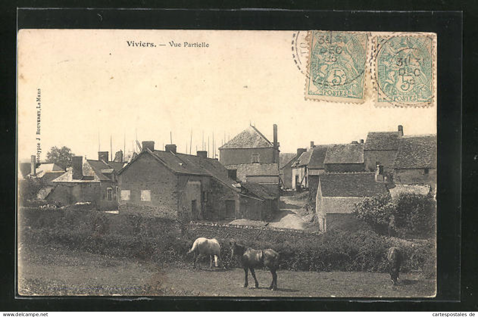 CPA Viviers, Vue Principale, Chevaux  - Other & Unclassified
