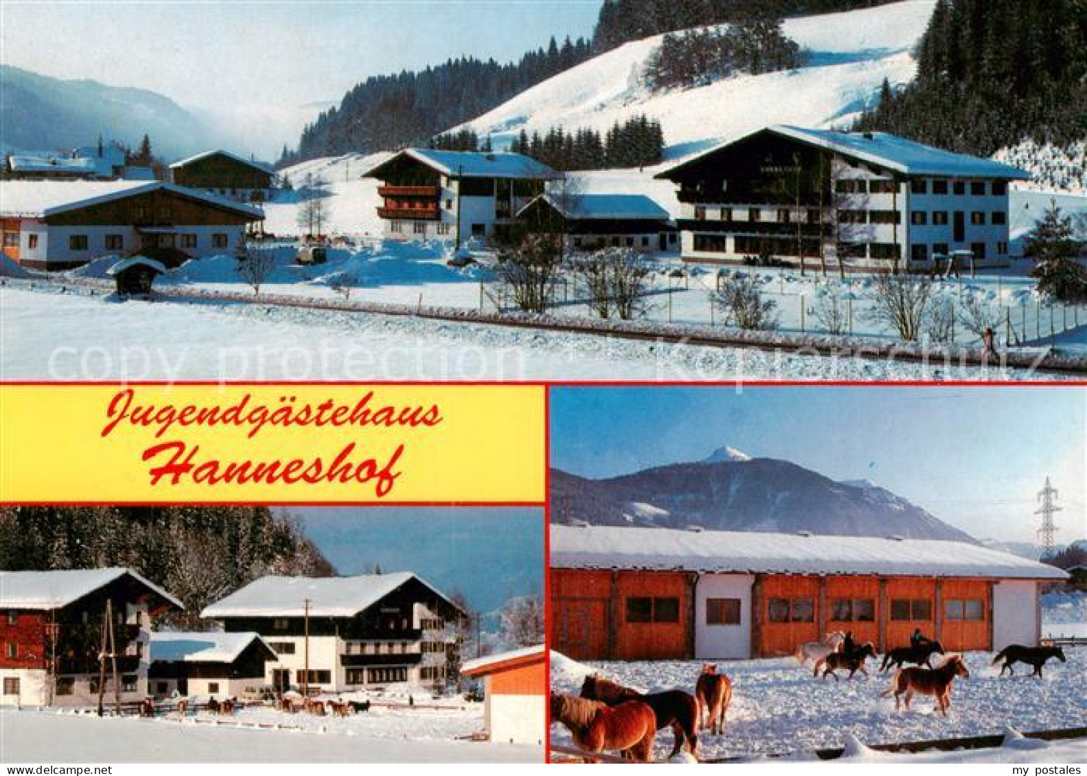 73861770 Flachau Jugendgaestehaus Hanneshof Pferdekoppel Flachau - Autres & Non Classés