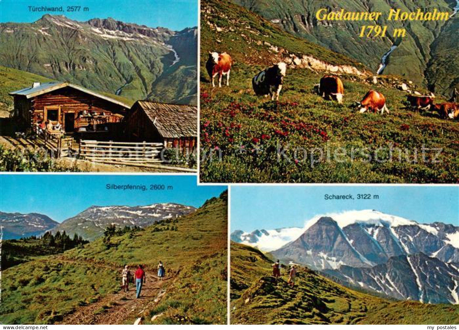 73861735 Badgastein AT Tuerchlwand Gadauner Hochalm Silberpfennig Schareck  - Other & Unclassified