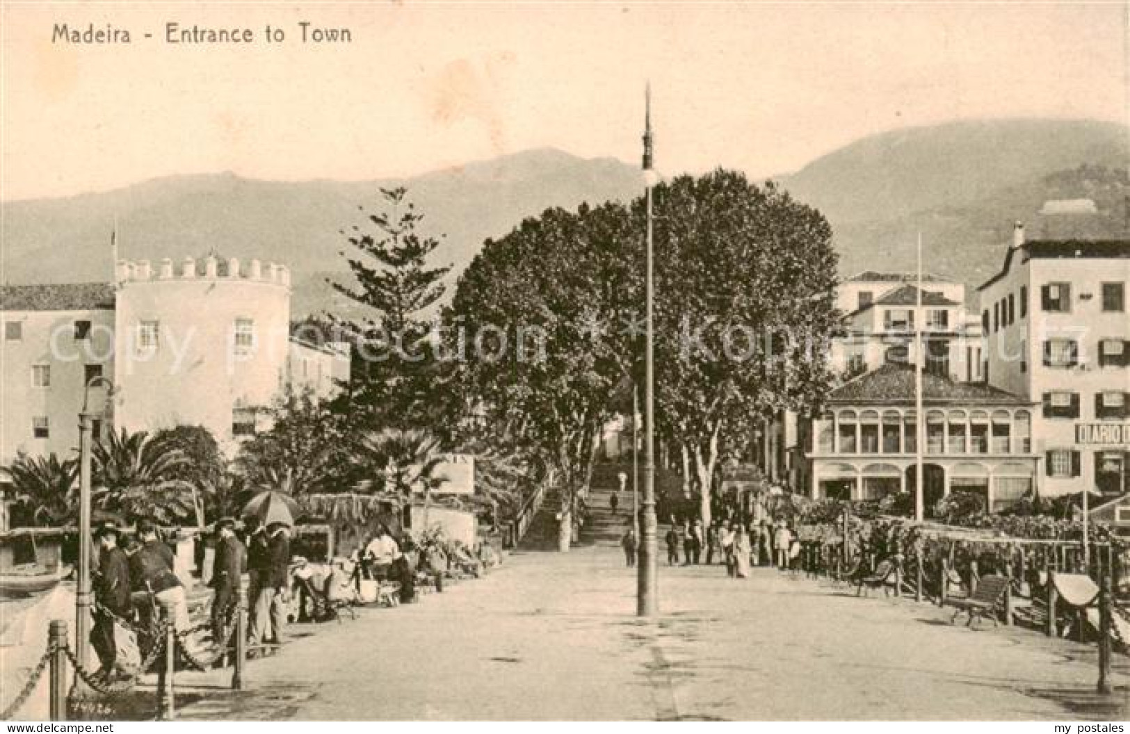 73821657 Madeira  Portugal Entrance To Town  - Autres & Non Classés