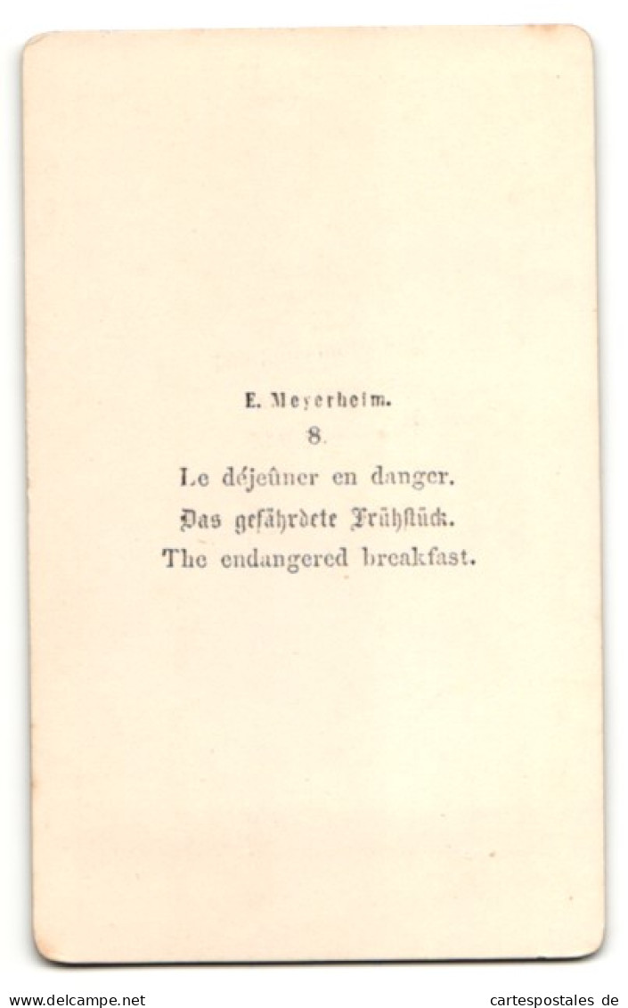 Fotografie E. Meyerheim, Nr. 8, Das Gefährdete Frühstück, Hahn Interressiert Sich Für Butterbrot  - Autres & Non Classés