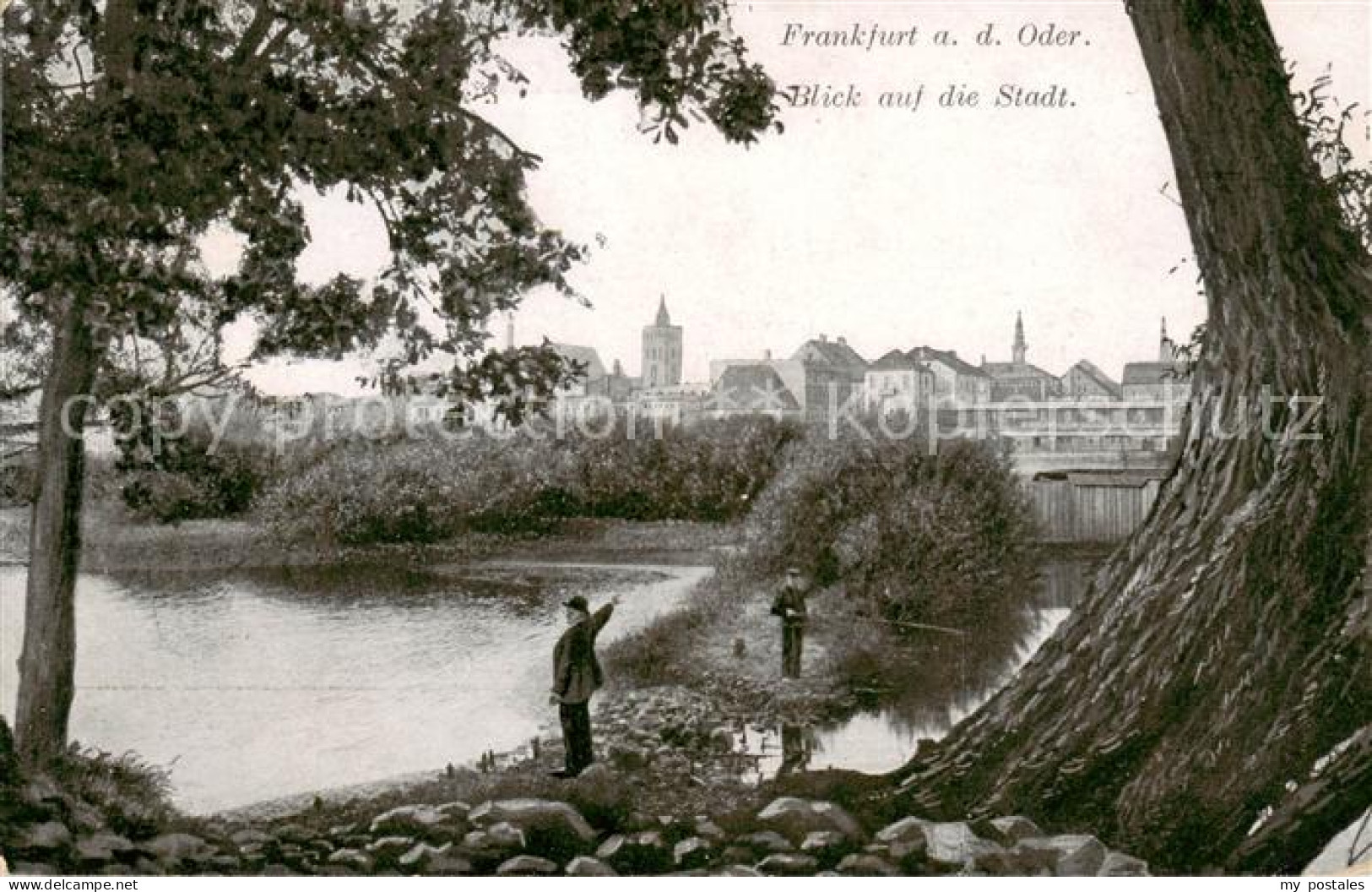 73821369 Frankfurt Oder Blick Auf Die Stadt Uferpartie Am Fluss Frankfurt Oder - Frankfurt A. D. Oder