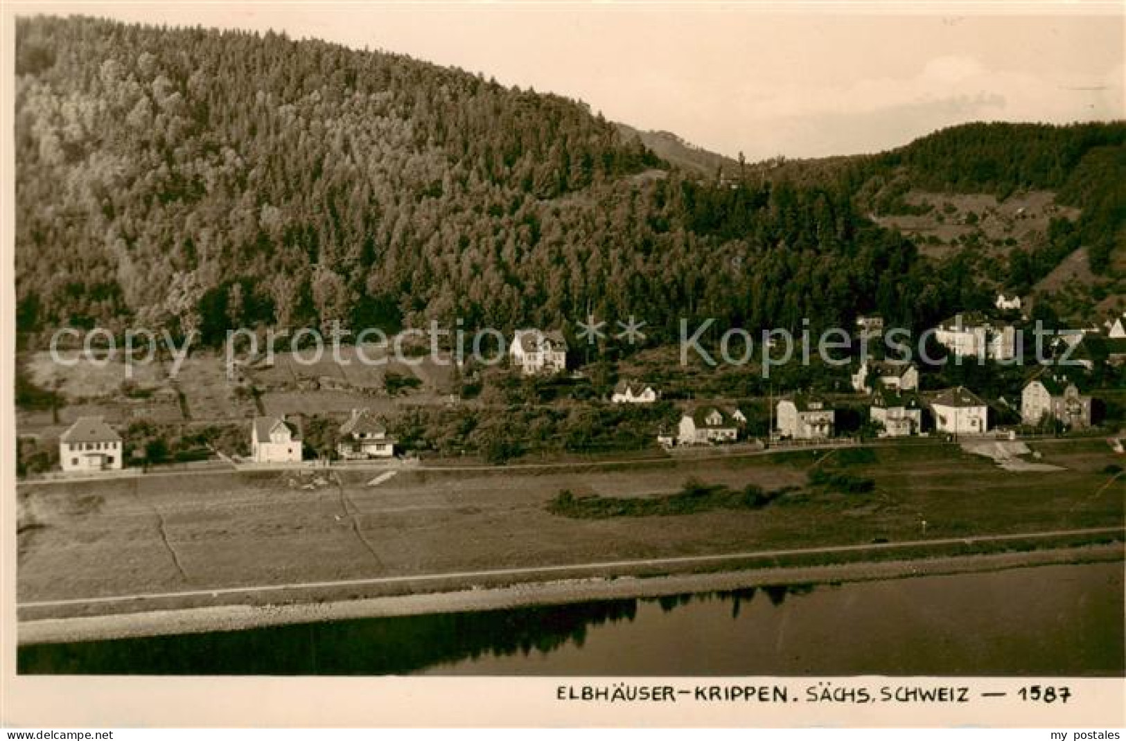 73821308 Krippen Bad Schandau Elbhaeuser Saechs Schweiz Krippen Bad Schandau - Bad Schandau