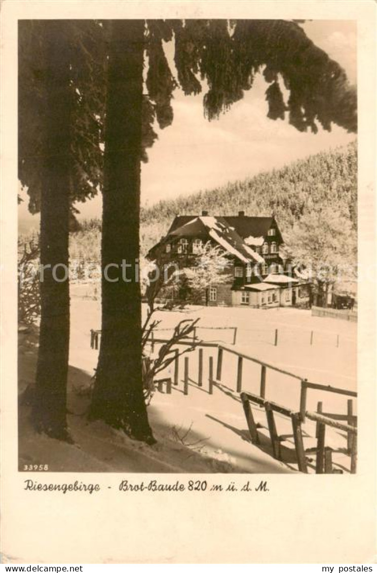 73821061 Riesengebirge_Krkonose_Karkonosze Brot Baude - Czech Republic