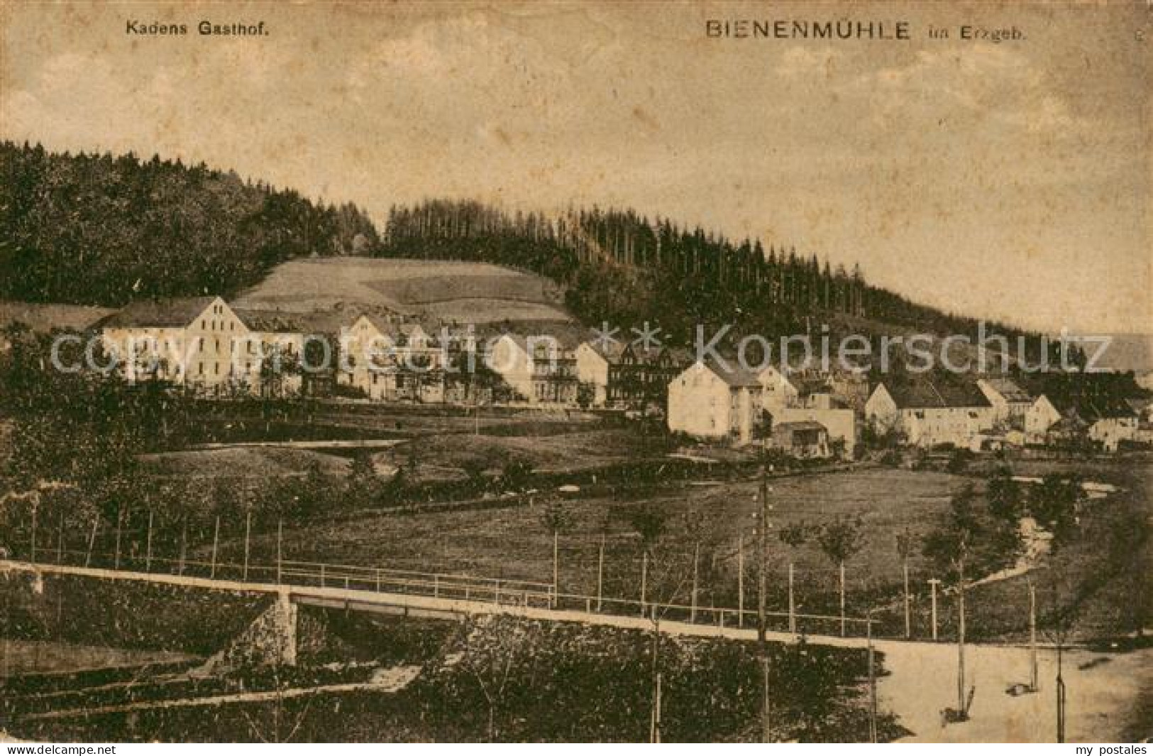 73820744 Bienenmuehle Rechenberg Osterzgebirge Teilansicht Mit Kadens Gasthof  - Rechenberg-Bienenmühle