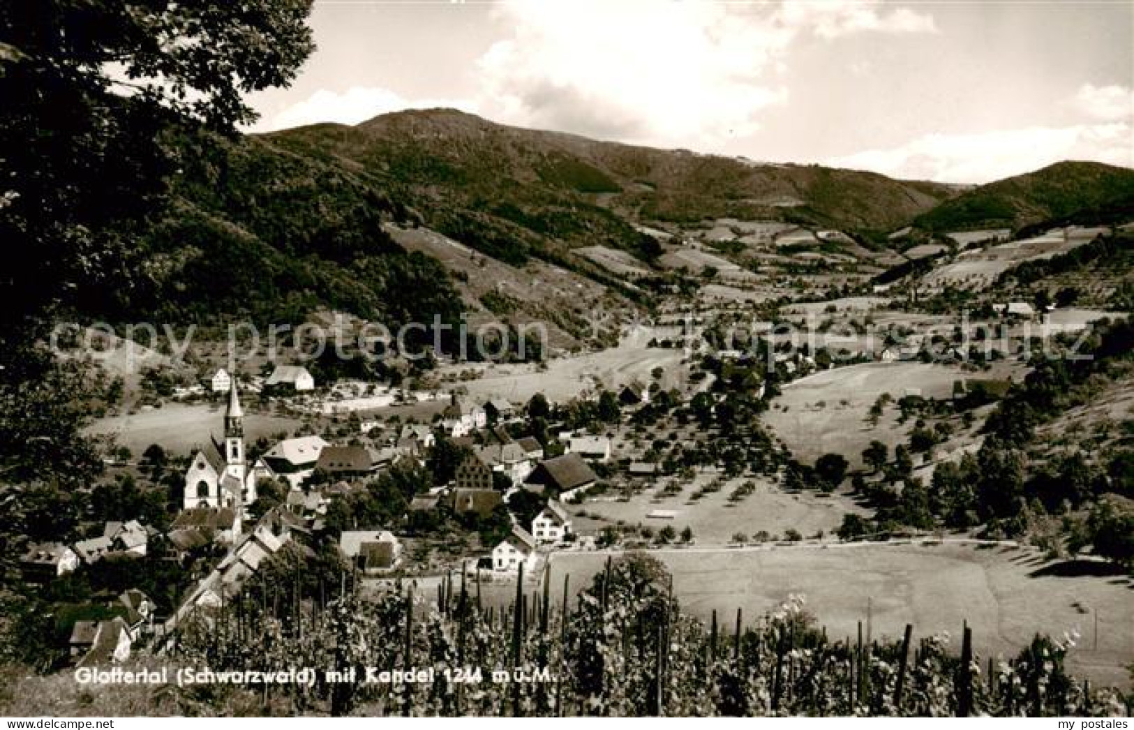 73820609 Glottertal Schwarzwald Mit Kandel Panorama  - Glottertal