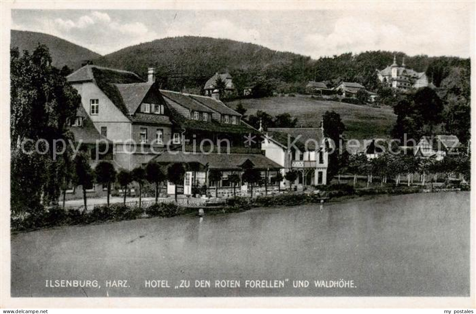 73820565 Ilsenburg Harz Hotel Zu Den Roten Forellen Und Waldhoehe Ilsenburg Harz - Ilsenburg