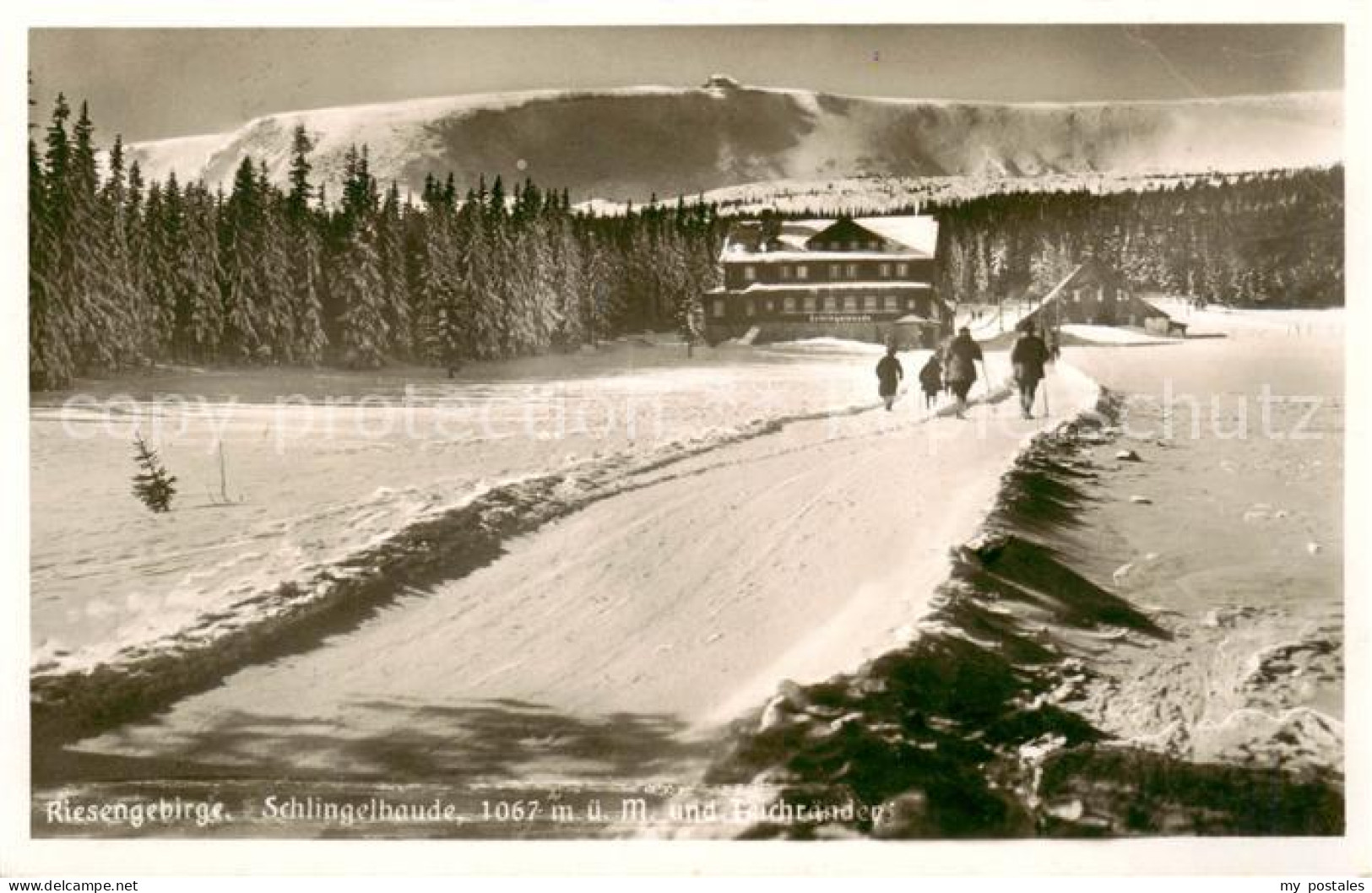 73820184 Riesengebirge_Krkonose_Karkonosze Schlingelbaude Und Teichraender - Tschechische Republik