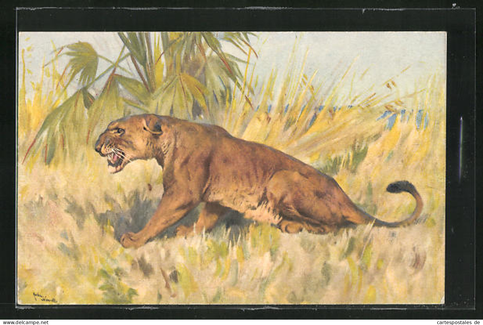 Künstler-AK Aggressiv Fauchender Weiblicher Löwe  - Tigers