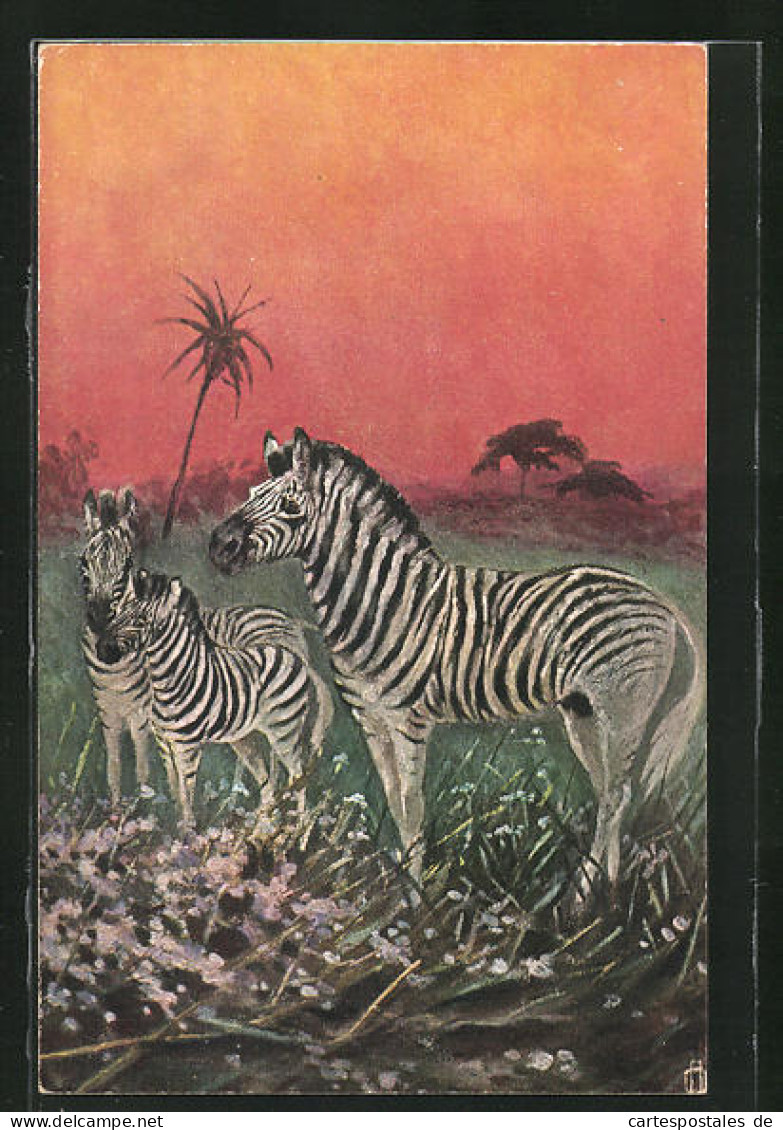 Künstler-AK Zebra-Familie Im Abendlicht  - Zebras