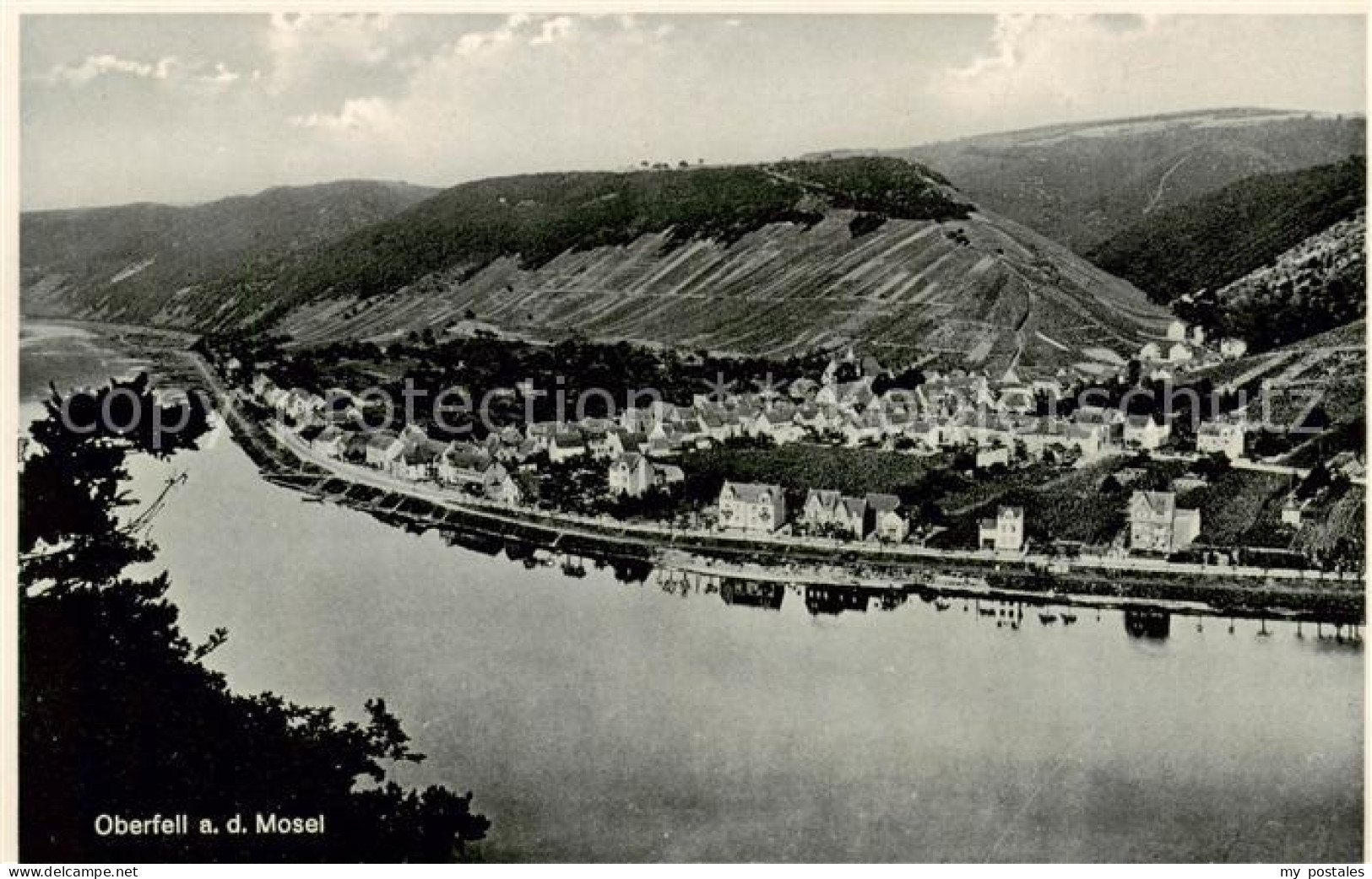 73820025 Oberfell Mosel Panorama  - Sonstige & Ohne Zuordnung