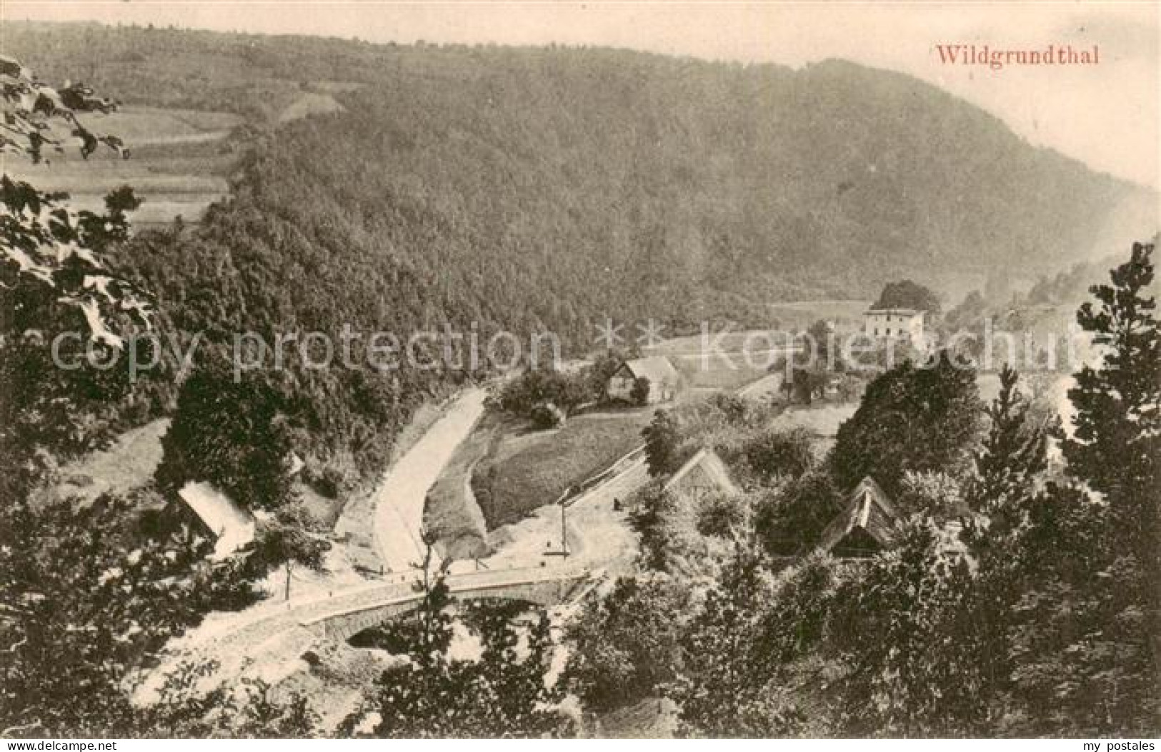 73819896 Wildgrundtal Panorama Wildgrundtal - Tchéquie