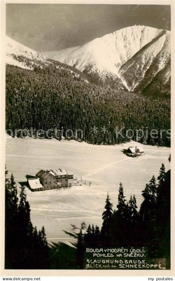 73819851 Schneekoppe Snezka CZ Blaugrundbaude Panorama  - Tchéquie