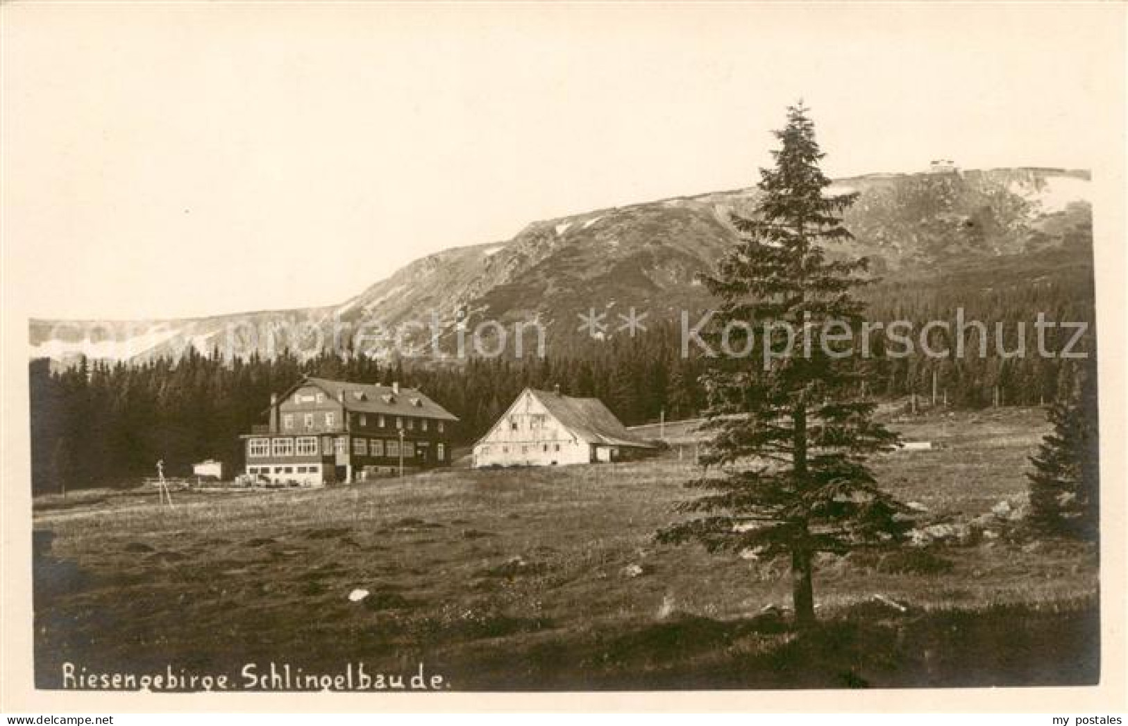 73819828 Riesengebirge_Krkonose_Karkonosze Schlingelbaude - Tchéquie